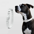 Charger l'image dans la visionneuse de la galerie, Collier Airtag pour chien blanc élégant avec espace de rangement pour Airtag de la marque Oscar et Plume