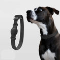 Charger l'image dans la visionneuse de la galerie, Collier Airtag pour chien noir en silicone souple porté par un chien avec yeux bleus