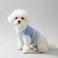 Cargar la imagen en la vista de la galería, Pull chaud pour chien en laine avec motifs bleus et blancs, parfait pour l'hiver.