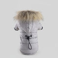 Cargar la imagen en la vista de la galería, Doudoune imperméable chien grise avec capuche à fourrure et cordon de serrage au dos