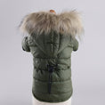 Cargar la imagen en la vista de la galería, Doudoune imperméable chien verte avec capuche à fourrure pour protection contre la pluie et le froid