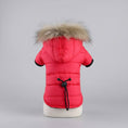 Cargar la imagen en la vista de la galería, Doudoune imperméable chien rouge avec capuche à fourrure et cordon de serrage au dos