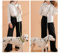 Load image into Gallery viewer, Laisse mains libres chien de couleur verte et grise portées par une femme habillée en pantalon noir et chemise blanche