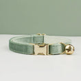 Charger l'image dans la visionneuse de la galerie, Collier en Velours avec Clochette personnalisable pour chat Oscar et Plume Vert d'eau / L