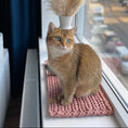 Charger l'image dans la visionneuse de la galerie, Chat sur tapis de fenêtre pour chat rose tricoté doux au bord d'une fenêtre avec vue urbaine