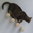 Cargar la imagen en la vista de la galería, Mur d'escalade design pour chat en bois avec corde de sisal, offrant un espace de jeu moderne et sécurisé pour chats.