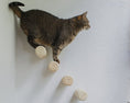 Charger l'image dans la visionneuse de la galerie, Mur d'escalade design pour chat avec marches robustes en corde, ajoutant une touche moderne à l'intérieur.
