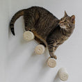 Cargar la imagen en la vista de la galería, Mur d'escalade design pour chat avec marches en corde sisal sur mur blanc, offrant un espace de jeu moderne et sécurisé.