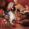 Load image into Gallery viewer, Chaussette garnie de Nöel pour chat Oscar et Plume Chaussette 1
