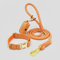Charger l'image dans la visionneuse de la galerie, Ensemble Collier personnalisable, laisse et distributeur de sac pour chien Oscar et Plume Collier / XS