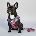 Charger l'image dans la visionneuse de la galerie, Ensemble harnais et laisse à motif pour chien Oscar et Plume Ensemble fleur / XS