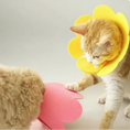 Charger l'image dans la visionneuse de la galerie, Collerette de protection en feutrine pour chat Oscar et Plume