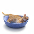 Charger l'image dans la visionneuse de la galerie, Chat orange allongé dans un panier feutre lavable pour chat bleu clair dans un salon moderne