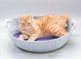 Charger l'image dans la visionneuse de la galerie, Chat roux allongé dans un panier feutre lavable pour chat gris avec poignées