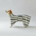 Charger l'image dans la visionneuse de la galerie, Peignoir absorbant pour chien Oscar et Plume en rayures gris et blanc pour un séchage rapide