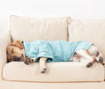 Charger l'image dans la visionneuse de la galerie, Chien endormi sur un canapé portant un peignoir confortable pour chien bleu clair de Oscar et Plume