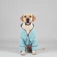 Charger l'image dans la visionneuse de la galerie, Chien Labrador portant un peignoir confortable pour chien bleu clair dans un salon moderne