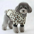 Cargar la imagen en la vista de la galería, Petit chien gris portant un sweat pour chien à motif léopard signé Oscar et Plume