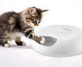 Charger l'image dans la visionneuse de la galerie, Chaton jouant avec un distributeur automatique nourriture chat blanc de la marque Oscar et Plume