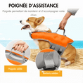 Carica l'immagine nel visualizzatore della galleria, Gilet de sauvetage pour chien orange avec poignée d'assistance solide et renforts solides sur la plage