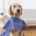 Charger l'image dans la visionneuse de la galerie, Chien Golden Retriever portant un poncho imperméable pour chien bleu avec bandes réfléchissantes