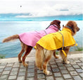 Charger l'image dans la visionneuse de la galerie, Deux chiens portant un poncho imperméable pour chien jaune et rose au bord de l'eau