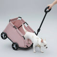 Load image into Gallery viewer, Poussette pliante pour chien de couleur rose avec roues noires et poignée ajustable utilisée pour transporter un petit chien blanc