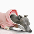 Carica l'immagine nel visualizzatore della galleria, Chien lévrier gris portant un pull capuche pour lévrier rose doux et confortable