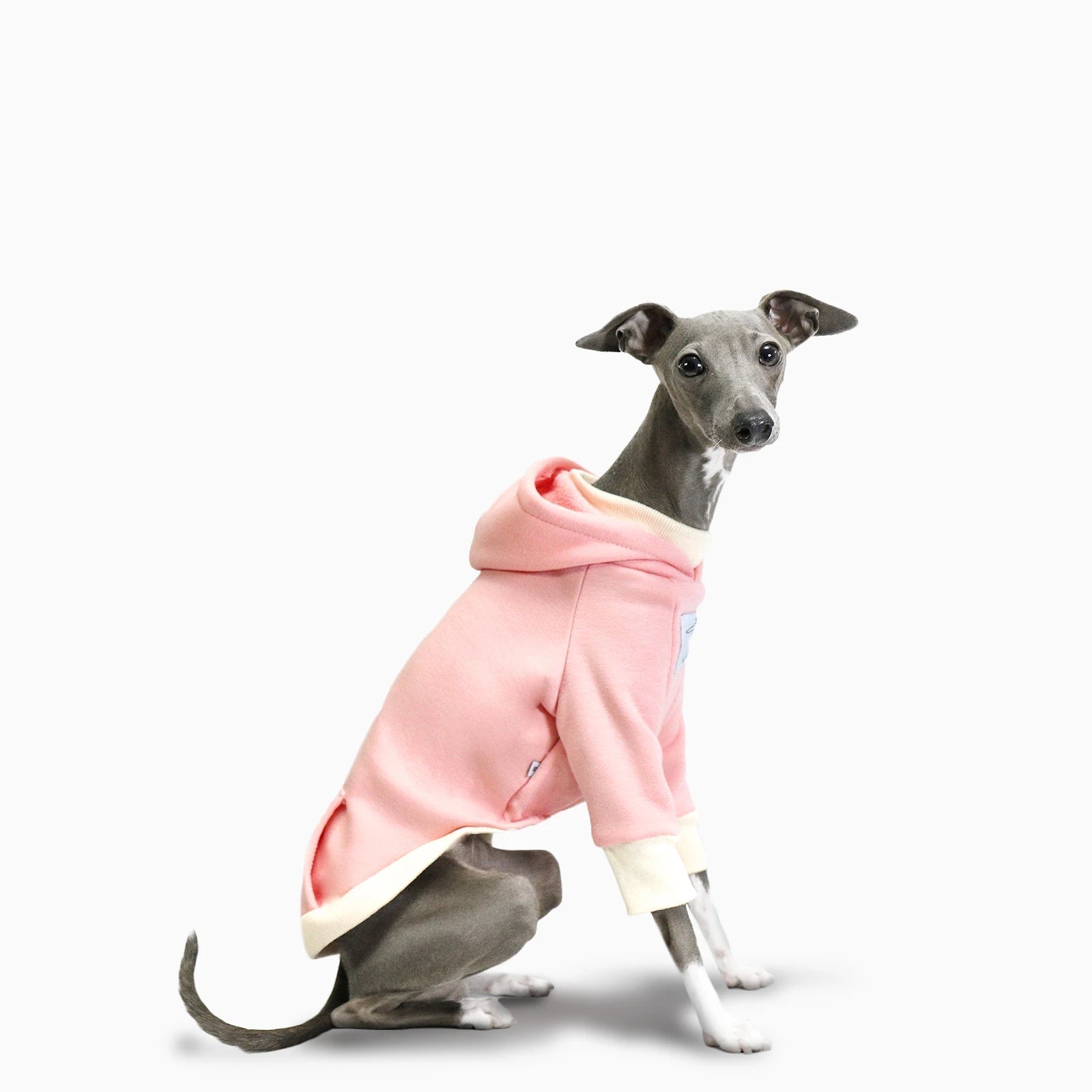 Dog Bull Terrier Sweat à capuche pour femme Dog Bull Terrier Sweat à capuche pour femme