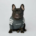 Cargar la imagen en la vista de la galería, Chien français bulldog portant un pull chaud pour chien gris avec motif WOOF