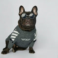 Cargar la imagen en la vista de la galería, Pull chaud pour chien en gris avec motif rayé idéal pour garder votre animal au chaud
