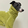 Carica l'immagine nel visualizzatore della galleria, Pull chaud pour lévrier de couleur vert clair en tissu doux et confortable porté par un lévrier gris