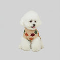 Charger l'image dans la visionneuse de la galerie, Petit chien blanc portant un pull col double pour chien beige confortable d'Oscar et Plume