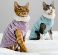 Load image into Gallery viewer, Pull col roulé pour chat en peluche rose et bleu pour garder votre animal au chaud pendant l'hiver