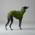 Cargar la imagen en la vista de la galería, Pull col roulé pour lévrier en vert, parfait pour garder votre chien au chaud lors de promenades en extérieur