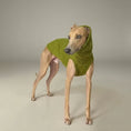 Cargar la imagen en la vista de la galería, Pull col roulé pour lévrier en vert pour un look élégant et confortable pour votre chien