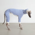 Carica l'immagine nel visualizzatore della galleria, Pull léger pour lévrier rayé bleu et blanc, confortable et stylé pour les chiens de course
