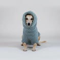 Cargar la imagen en la vista de la galería, Pull polaire pour lévrier en bleu clair, confortable et chaud pour les chiens à poil court