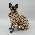 Carica l'immagine nel visualizzatore della galleria, Pull pour chat sphynx avec motif léopard pour garder votre animal au chaud et à la mode