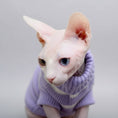 Load image into Gallery viewer, Pull pour chat Sphynx lilas avec col roulé pour garder votre animal au chaud
