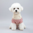 Cargar la imagen en la vista de la galería, Pull pour chien rose avec col montant et design en tricot pour petits chiens élégants