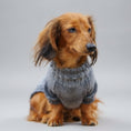 Charger l'image dans la visionneuse de la galerie, Pull pour chien teckel en gris, confortable et stylé pour les promenades en hiver