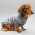 Charger l'image dans la visionneuse de la galerie, Pull pour chien teckel rayé gris avec col haut, parfait pour garder votre chien au chaud