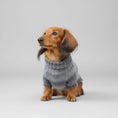 Charger l'image dans la visionneuse de la galerie, Pull pour chien teckel en laine grise, confortable et stylé pour les soirées fraîches