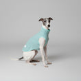 Carica l'immagine nel visualizzatore della galleria, Pull pour lévrier italien en bleu clair avec col haut pour le confort de votre chien
