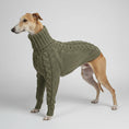 Carica l'immagine nel visualizzatore della galleria, Pull pour lévrier col roulé en maille épaisse couleur kaki pour chien élégant Oscar et Plume