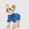 Carica l'immagine nel visualizzatore della galleria, Pull pour petit chien en laine tricotée avec col roulé, disponible en plusieurs couleurs chez Oscar et Plume