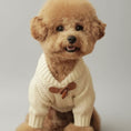 Cargar la imagen en la vista de la galería, Pull pour petit chien en tricot blanc avec col et bouton marron par Oscar et Plume