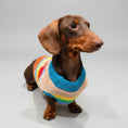 Load image into Gallery viewer, Chien teckel portant un pull pour teckel rayures arc en ciel avec un col bleu