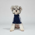 Charger l'image dans la visionneuse de la galerie, Pull tricoté pour chien de couleur marine avec des rayures blanches sur les manches